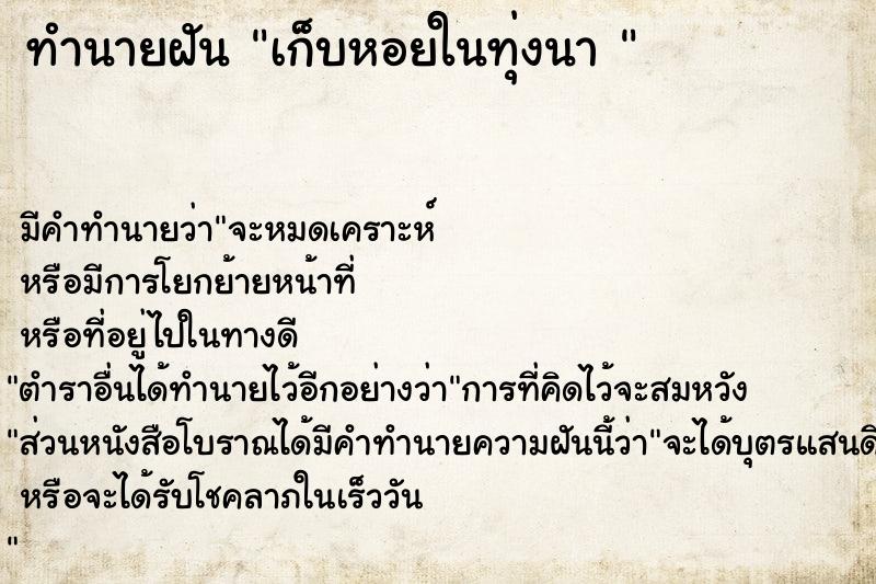 ทำนายฝัน เก็บหอยในทุ่งนา 